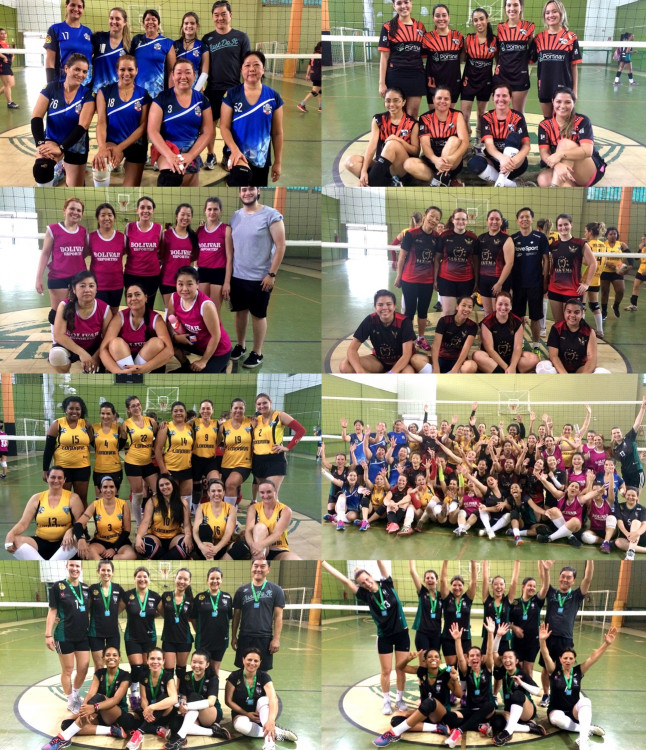 Montagem