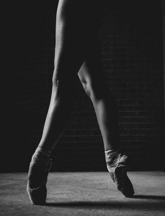 bruno-horwath-692469-unsplash
